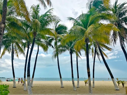 Immagine gratuita di cancun, isla mujeres, mar dei caraibi