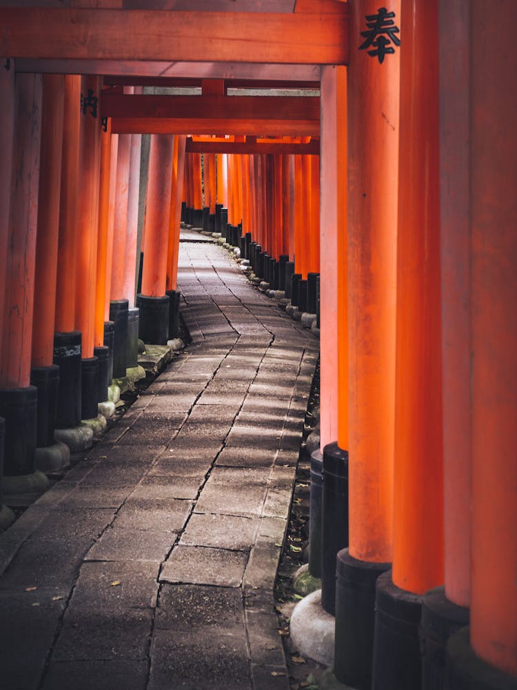 Fushimi Inari Taisha Shrine In Kyoto