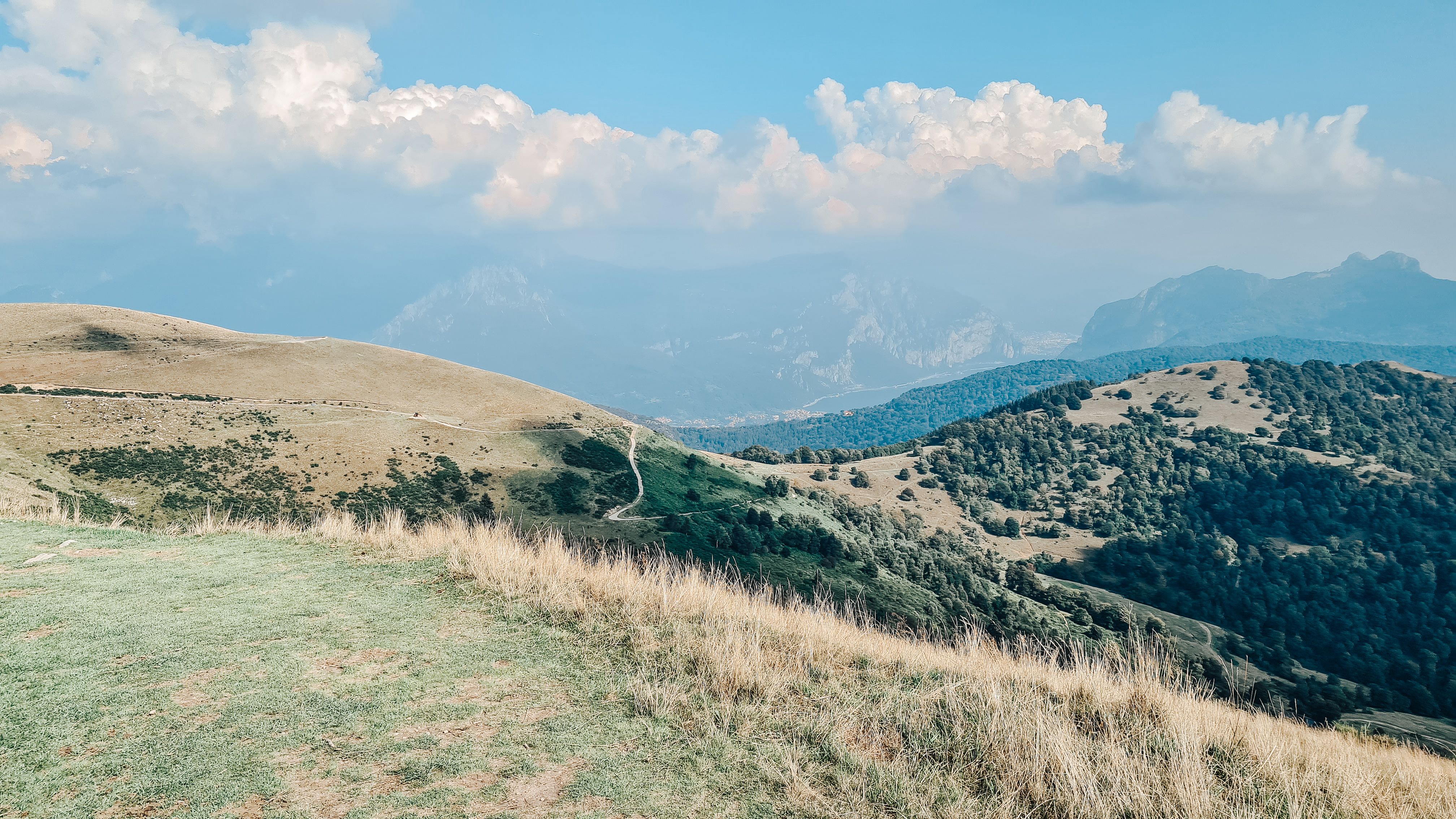 Naturlandschaft mit Wiese und Bergen