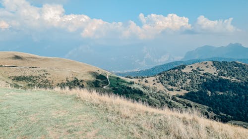 Бесплатное стоковое фото с горы, деревья, окружающая среда