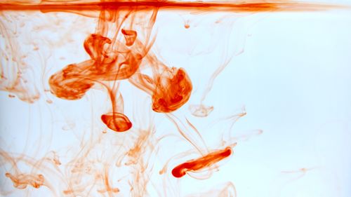 Free Abstract background of red paint diffusing in clean water and forming jellyfish shapes and splotches Stock Photo