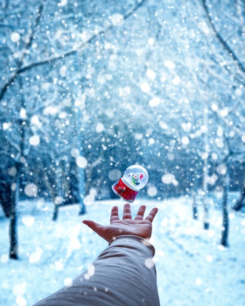 Person Hand Catching Snow Globe
