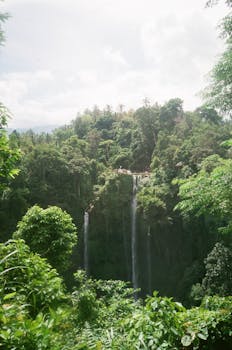 Image by polinaguccina@gmail.com Guccina