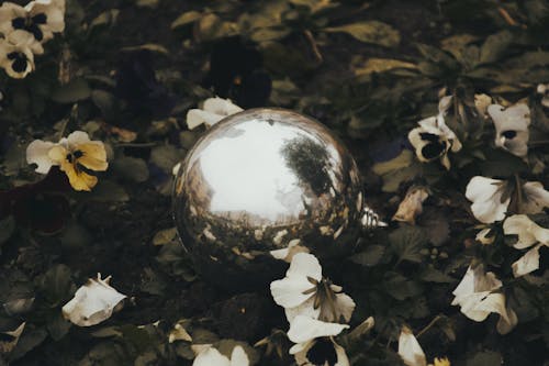 Silver Ball on Dried Leaves
