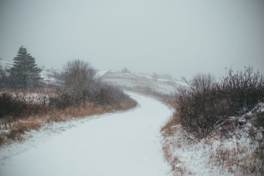 A serene snowy road winding through the frosty countryside during winter.
