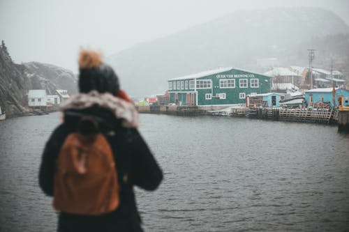 Gratis stockfoto met achteraanzicht, Canada, kou