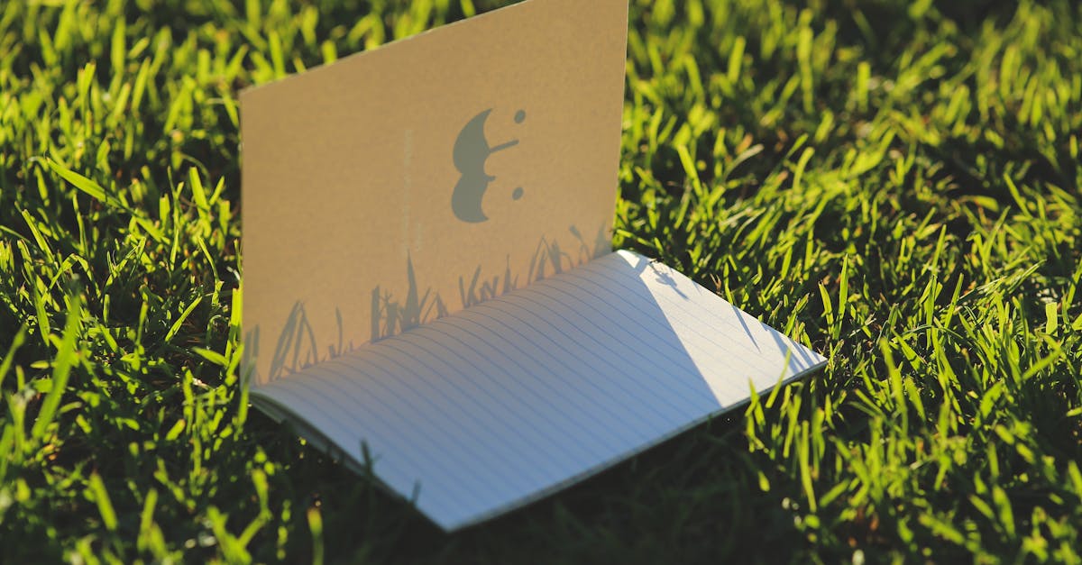 Notebook on the grass