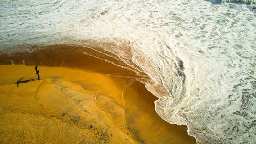 Безкоштовне стокове фото на тему «берег моря, коричневий, махати»