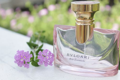 Free stock photo of flower photography, perfume bottle, scent Stock Photo