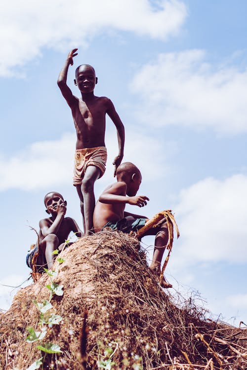 Children Playing During Daytime