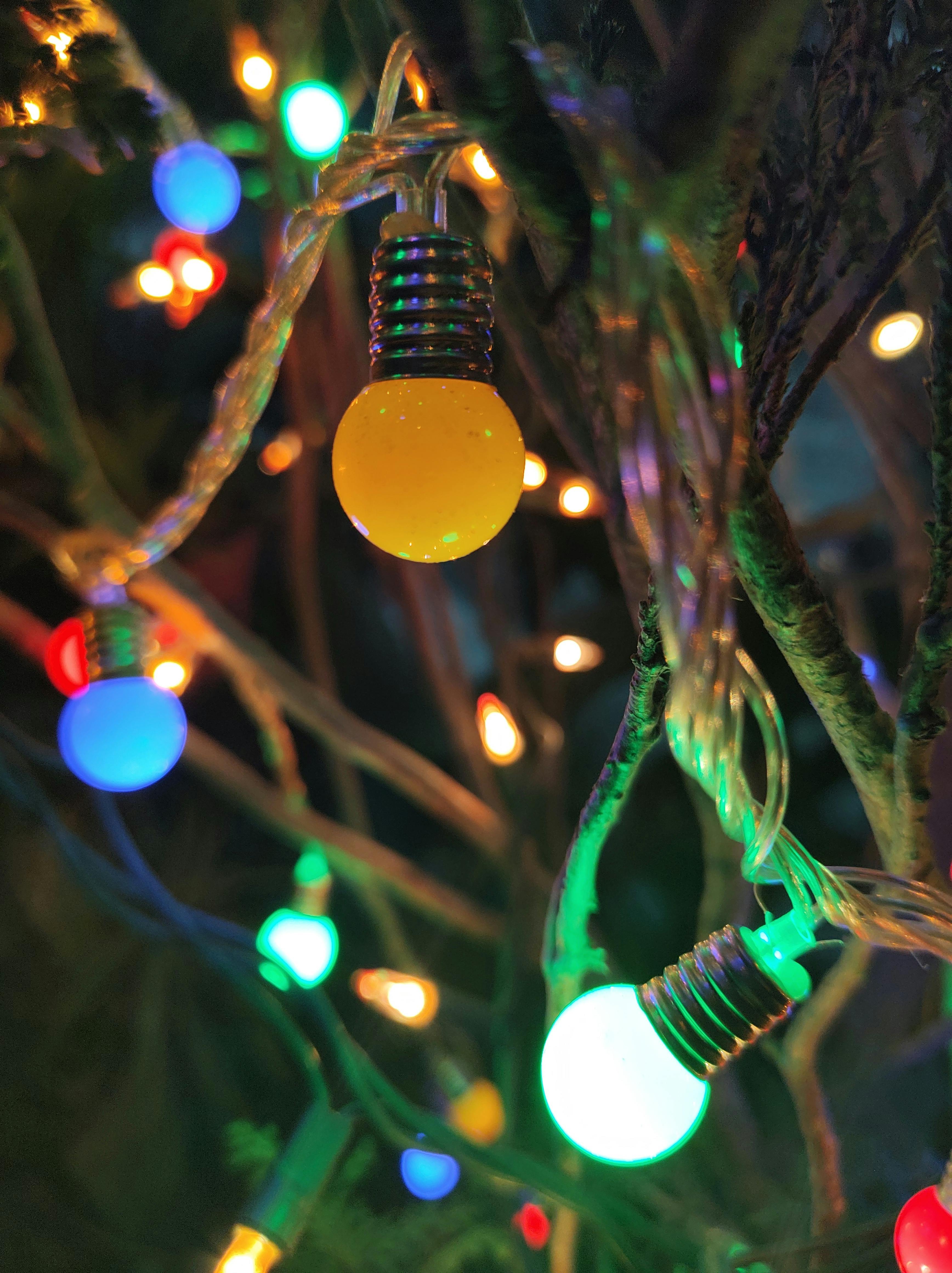 CloseUp Shot of Christmas Lights · Free Stock Photo
