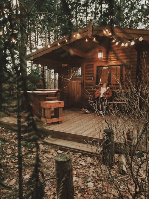 Foto profissional grátis de cabine, casa de madeira, floresta
