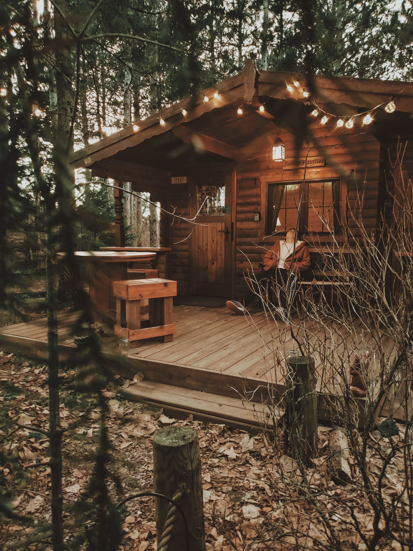 Cabin porch among tall trees