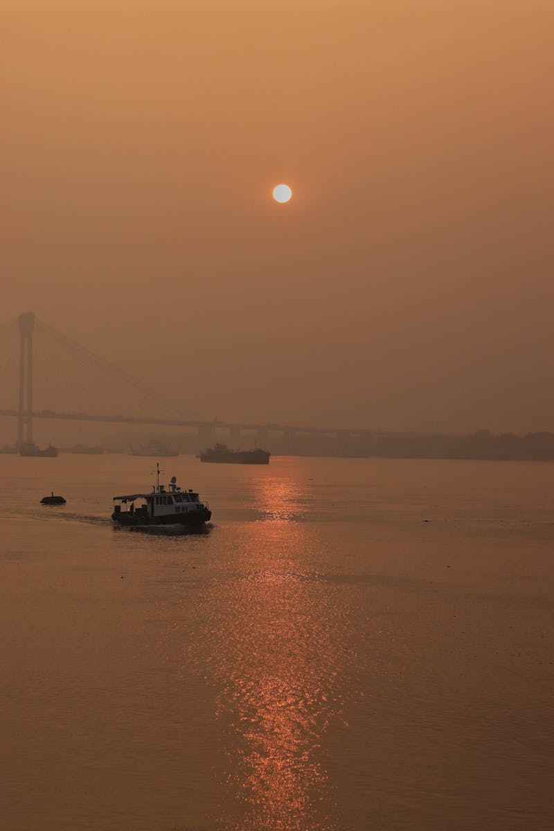 Professional bow for sport shooting