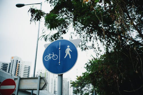 Бесплатное стоковое фото с велосипедная дорожка, дорожный указатель, натюрморт