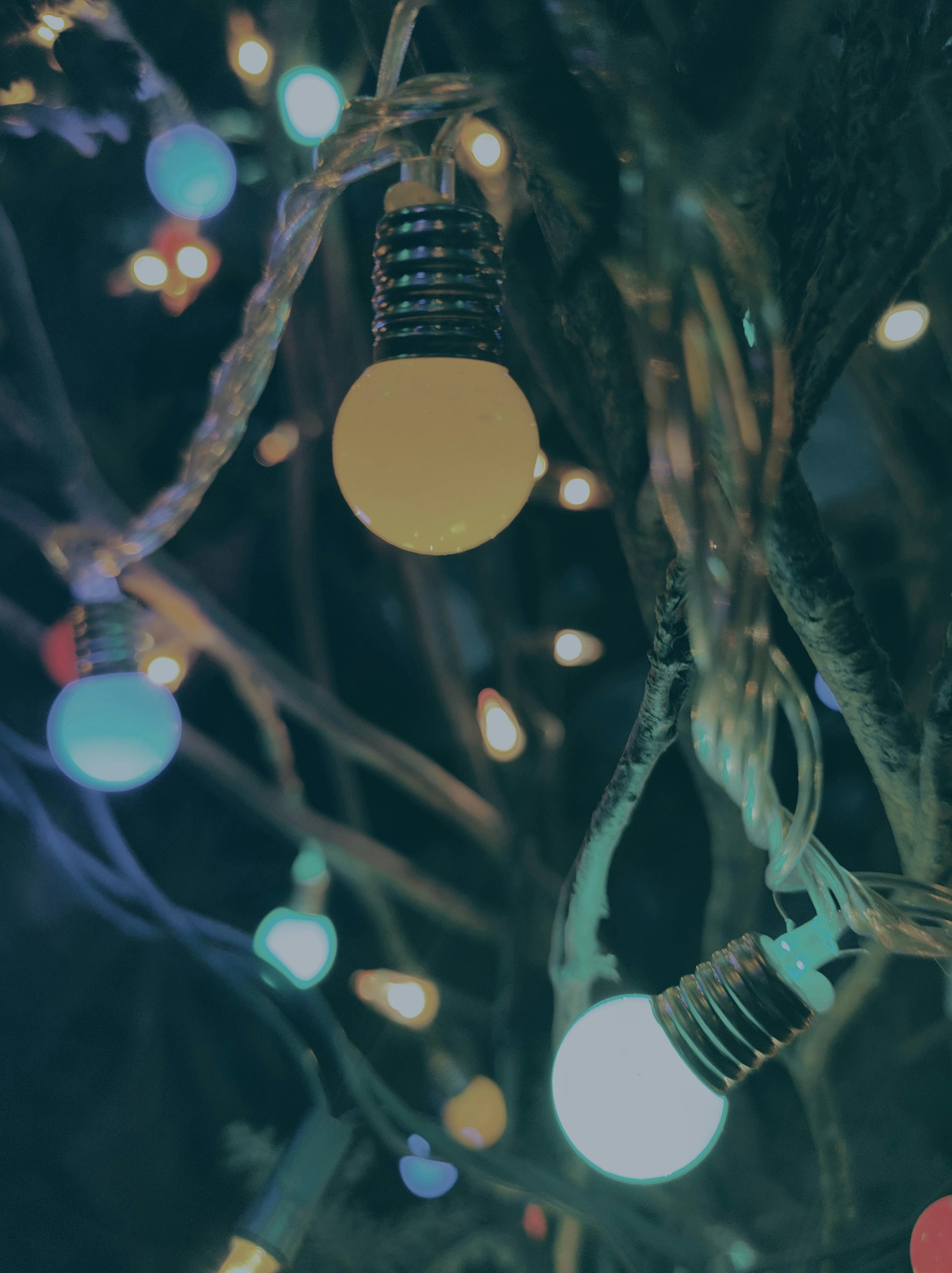 Free stock photo of bright lights, christmas, christmas background