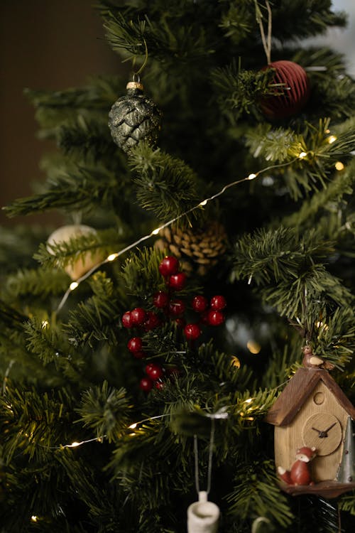 Foto d'estoc gratuïta de arbre de Nadal, coníferes, decoració