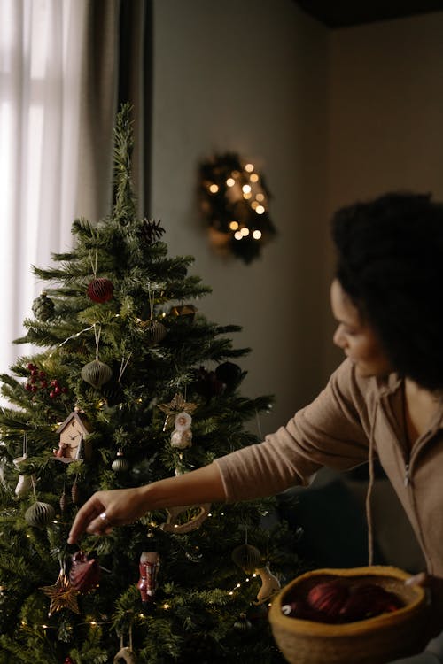 Immagine gratuita di albero di natale, atmosfera natalizia, buon natale