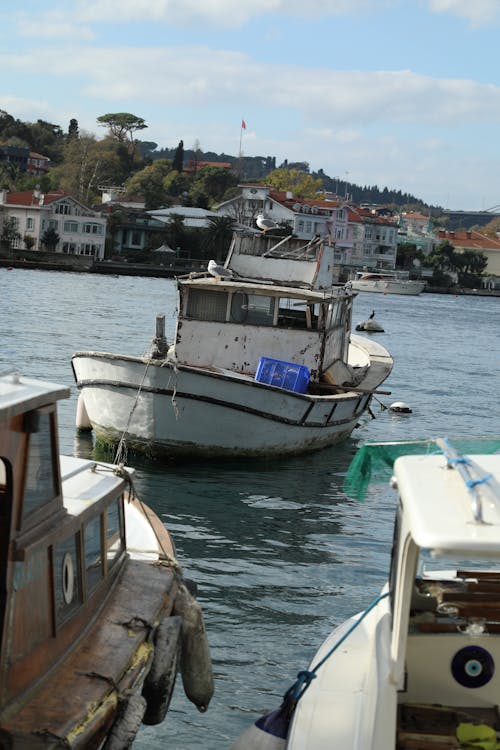Fotos de stock gratuitas de barca, barco, barco de pesca