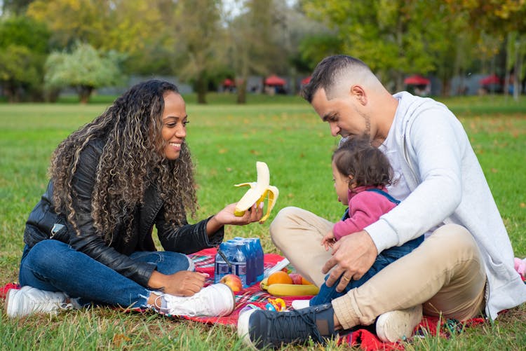 
A Family Having A Picnic On A Park