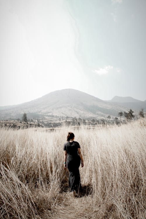 Free 
A Woman in a Black Dress Walking on a Field Stock Photo