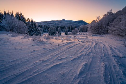 Snow-covered forest and mountains at sunset, featuring a serene winter landscape.