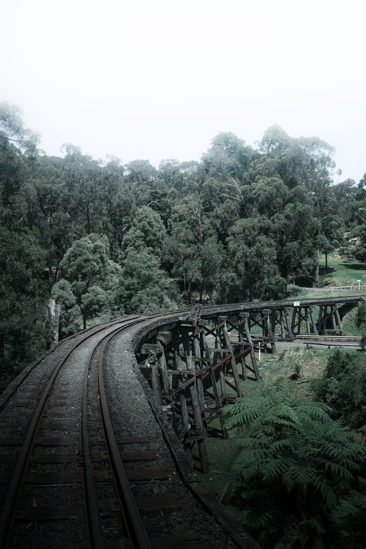 Train Railway Near Green Trees