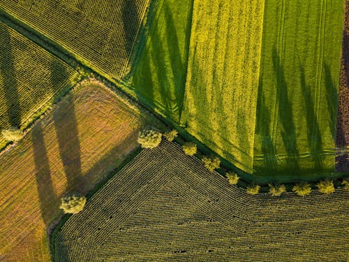 Δωρεάν στοκ φωτογραφιών με αγροτικός, αεροφωτογράφιση, γεωργία