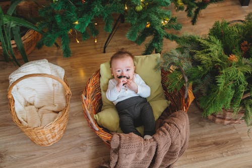 Free From above of adorable little boy lying on pillow and blanket in basket near Christmas decorations and looking at camera Stock Photo
