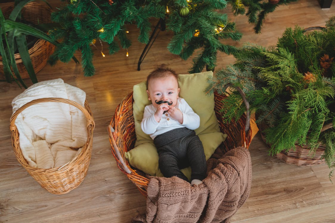 From above of adorable little boy lying on pillow and blanket in basket near Christmas decorations and looking at camera