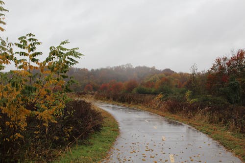 Explore Yellowstone Now Before Winter Operations Begin