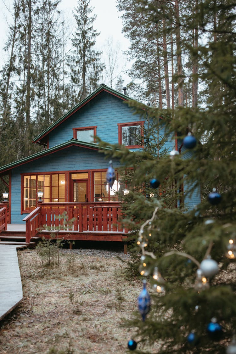 Tree With Christmas Decorations Outside A House