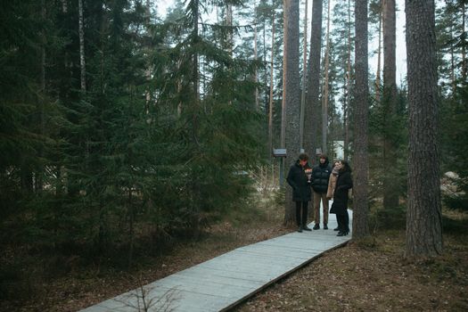 A group of friends stands together on a forest boardwalk surrounded by tall pine trees.