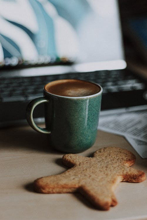 Aromatic hot cappuccino and sweet gingerbread cookie placed on desk near papers and opened netbook