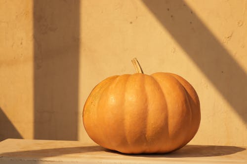 Δωρεάν στοκ φωτογραφιών με halloween, αγροτικός, ελαφρύς