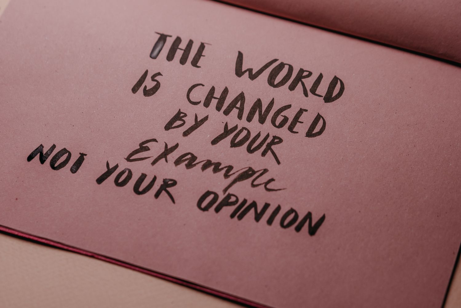 Example Photos, Download The BEST Free Example Stock Photos & HD Images