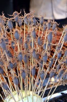 A detailed view of exotic scorpions on skewers, popular in Asian street food markets.