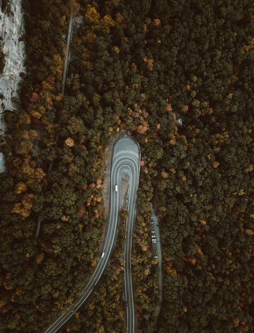Drone Shot of a Curve Road in Between Green Trees