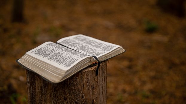 open bible