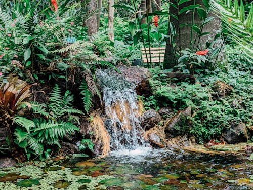 Small Waterfall in Tropical Forest