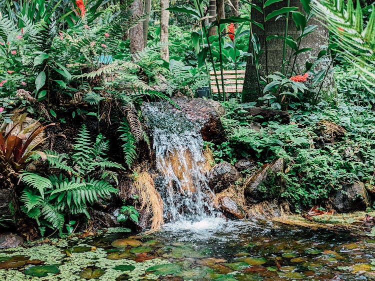 Small Waterfall In Tropical Forest