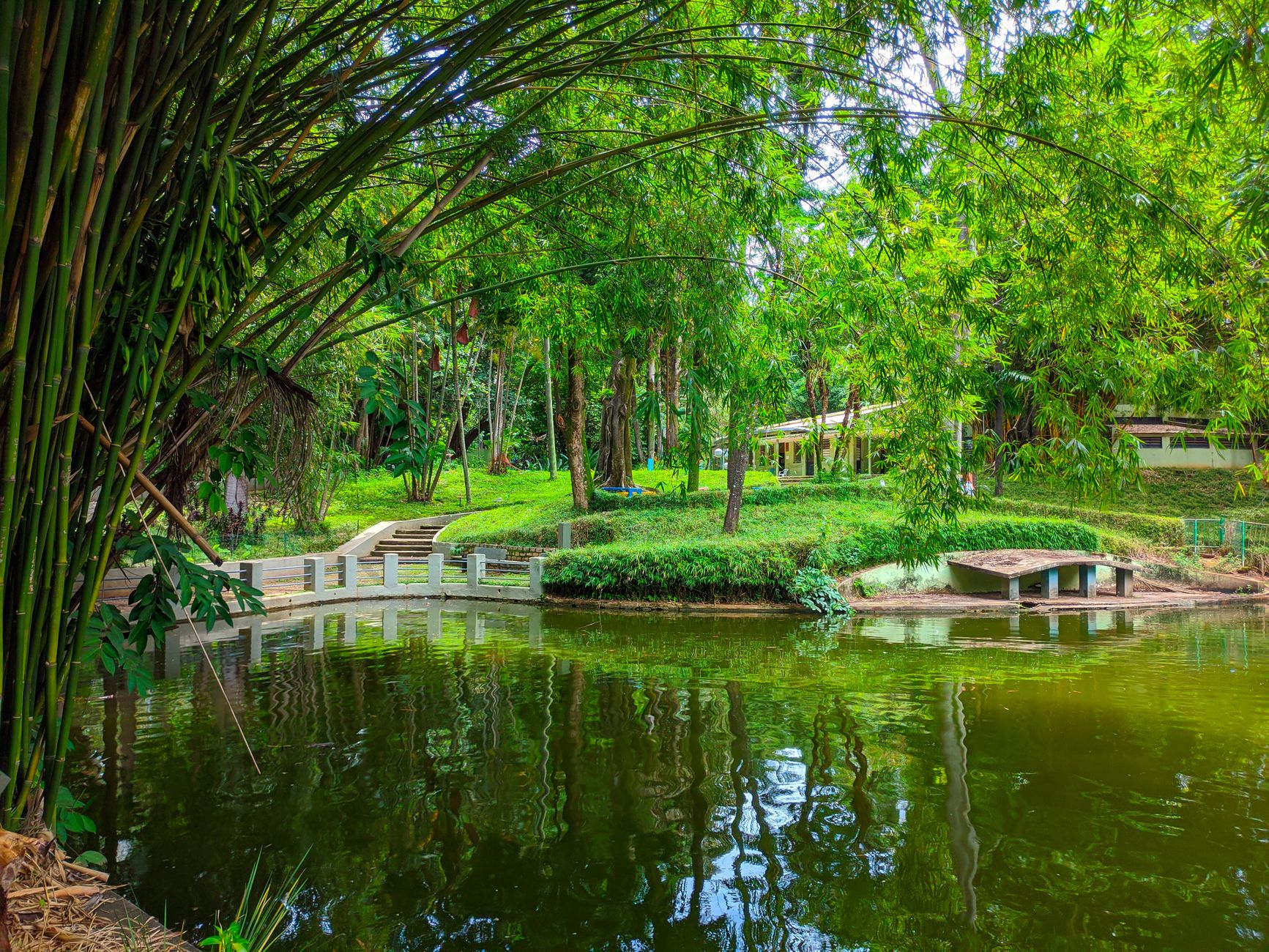 Coorg Resort Packages: Best Deals and What to Expect