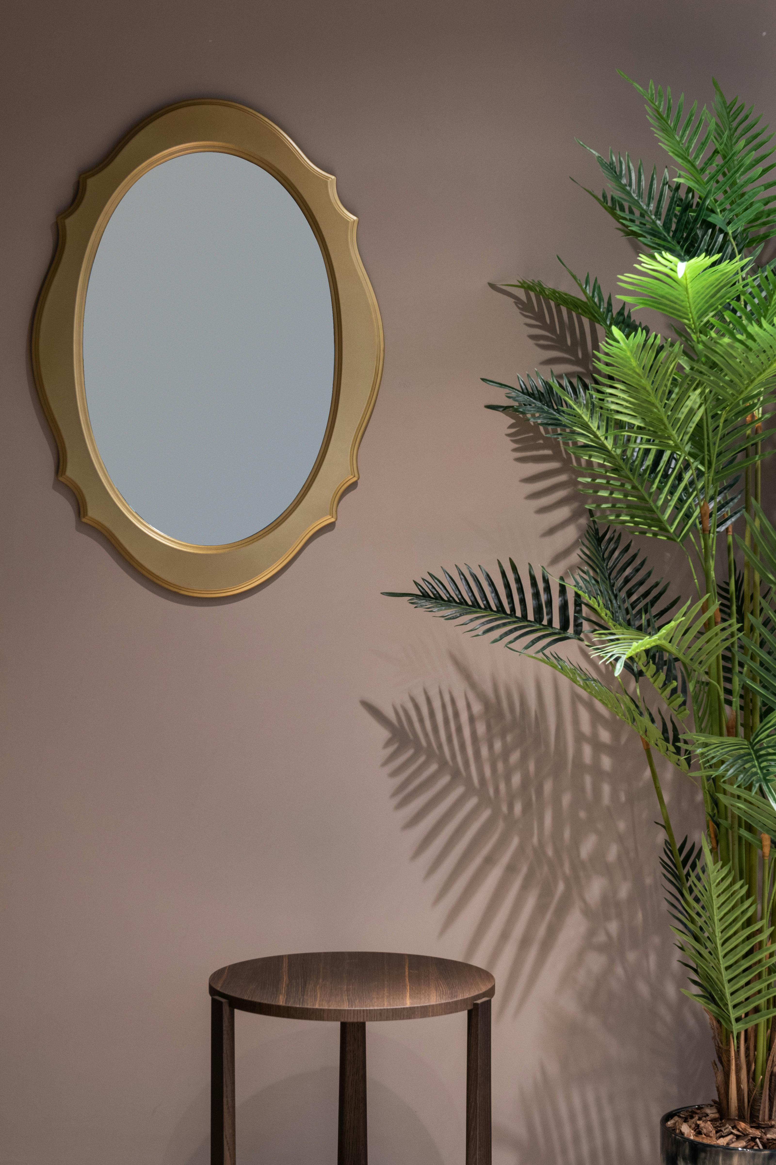 room with potted plant near mirror and table