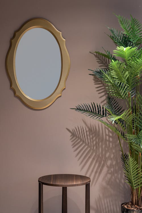 Interior of room with round table near green plant in pot and mirror on beige wall