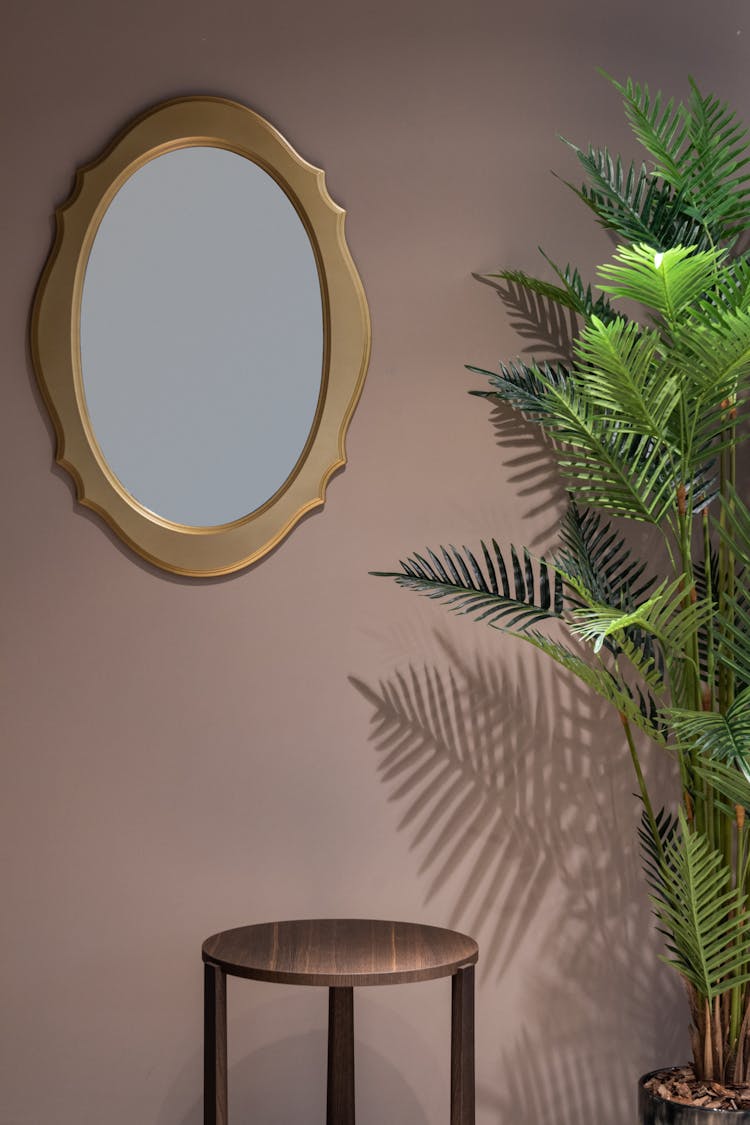 Room With Potted Plant Near Mirror And Table