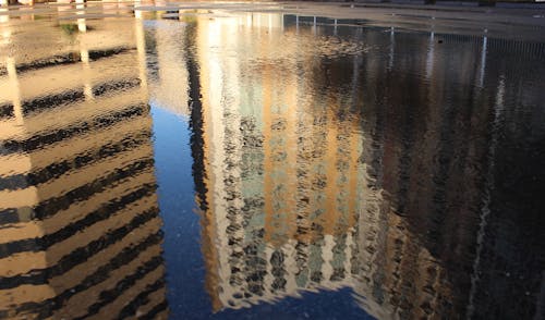 Бесплатное стоковое фото с здания, мокрый, отражение