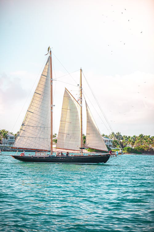 Gratis stockfoto met boot, h2o, vaartuig