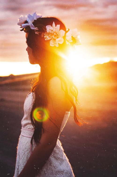 Gratis stockfoto met bloemenkroon, dageraad, gouden uur Stockfoto