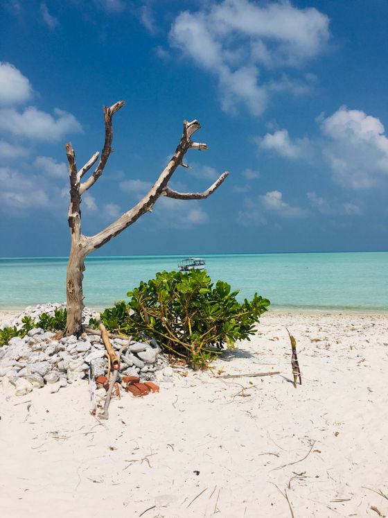Bangaram Island — Lakshadweep