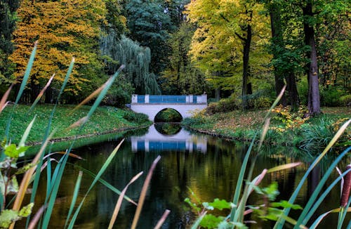 Ảnh lưu trữ miễn phí về công viên thành phố, warsaw